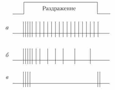 ��������� ����������� ������