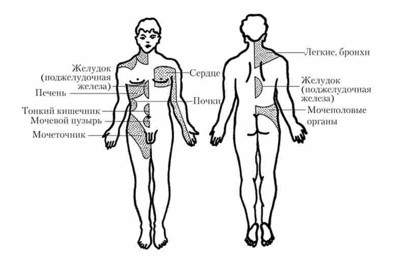 ���� �����'��� - ���� (����������� ���� ��� ������������� ��������� �������)