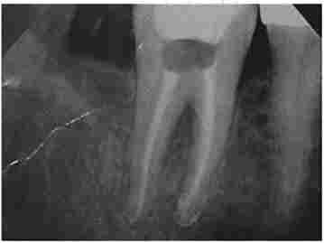 �������������. ������� X., 29 ����