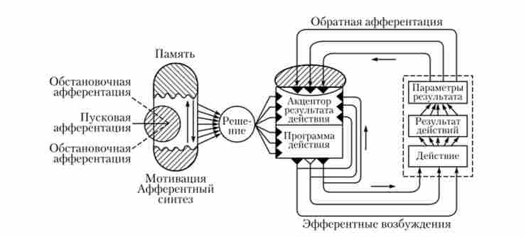 ����� ����������� ������������� �������