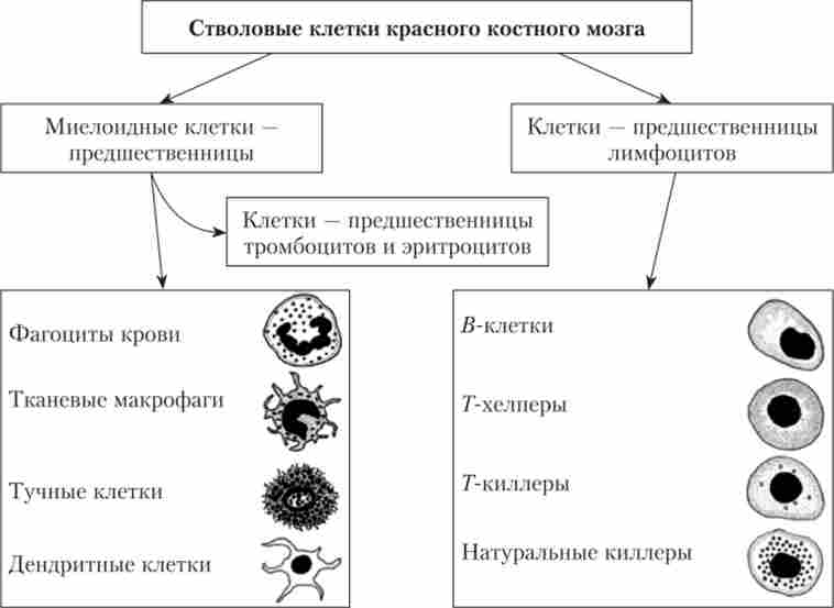 ���������� �� �������������� ����� ������ �������