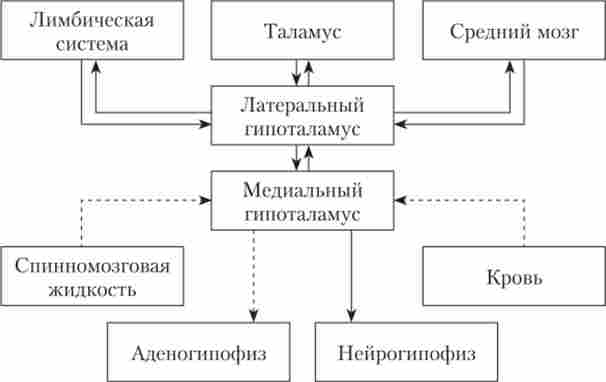 ó��������� - ����� ��������������� ���������