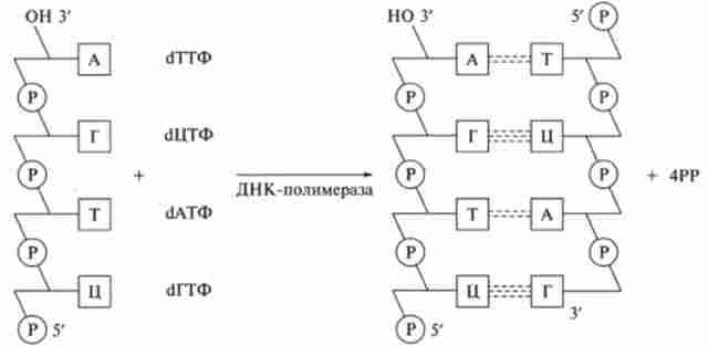 ������������ �������� ������� ��� �� ��������� ����������������