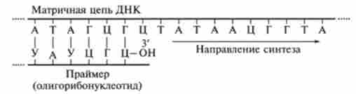 ������ �������� ������� ��� � �������� ��������� ������ ��������