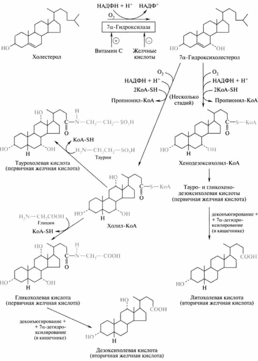 ��������� ������� ������