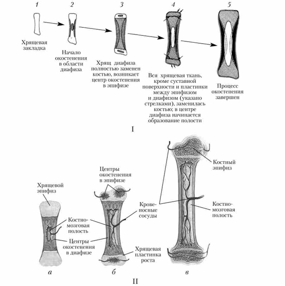 �������� ��������� �����