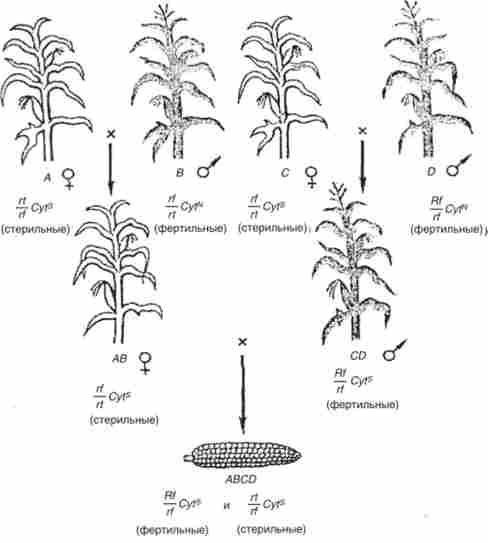 ��������� �������� ������ � ���������