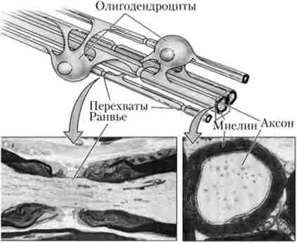 ����� 쳺����� ��������
