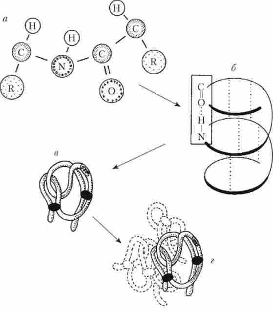 ��������� �������� ����