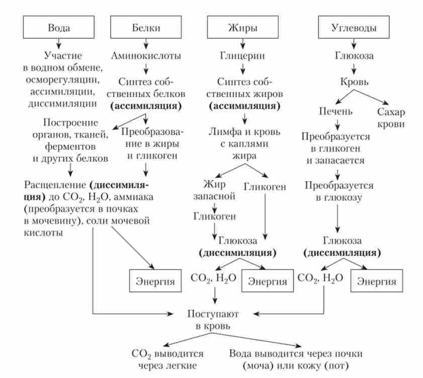 ���� �������� �������� �������, �� ��������� � ����