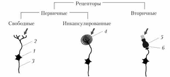 �������� � �������� ���������� ������