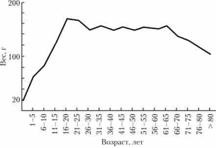 ³��� ���� ���� ��������