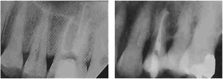 �������������. ������� X., 29 ����. ������