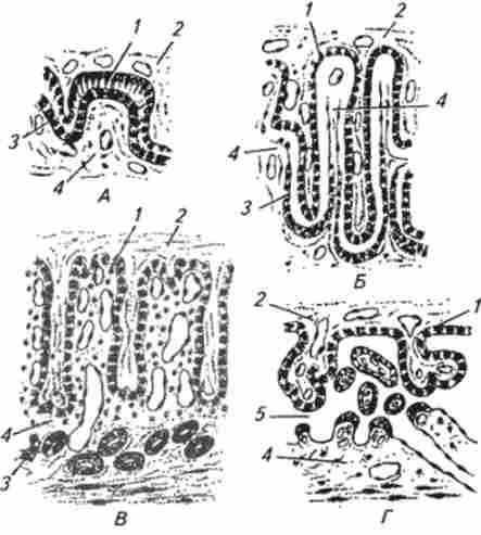 ������������� ���������� � ������������ ������ � ��������� ����� ����