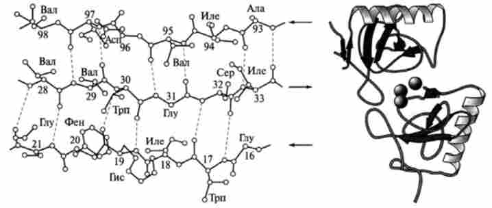 ���� ���������� � ���������� ��������� �������������������