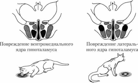 ������ ������ � ��������� � ����