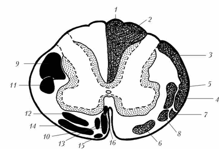 ���� �������� �������� �����