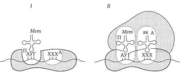 ��������� �������� �������