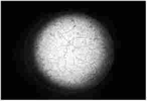 ������ ����� �������� �., 20 ����. ������ ����� ���������, �������� �����������, ��������, � ������� ������ ������� ����. ̳�������, �200