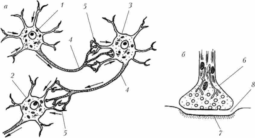 �������� �������� �������� �� ������� �� ������� (�)