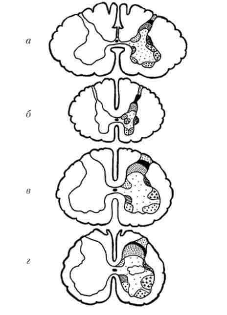 ���������� ����� ����� ������� ����� �� ����� �����