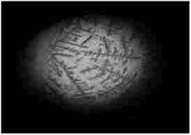 ������ ����� ����� � �������� �. ���� ��������� ���'����� ����. ���������� ������ ��������� (����) � �������� ����� ������ ����� (��������), ���������� ������������