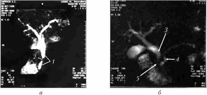 ��������-���������� ����������������������