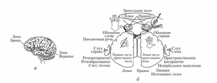 ���������� ���������� ��������� �������������� ������� �����, ���� � ����� (��