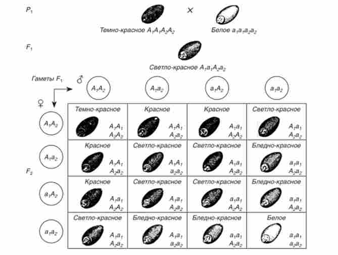 ������������ ����������� ����� � ������� ��� �����䳿 ���� ��� ��������� �����