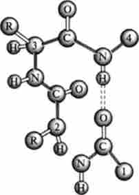 �-����� ������������� ������� (�� �. �. ���������)