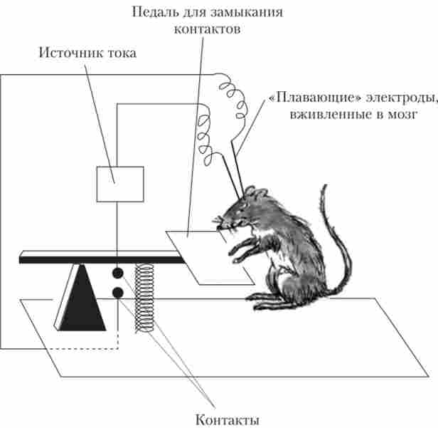 ����������� � ���������������� � ����