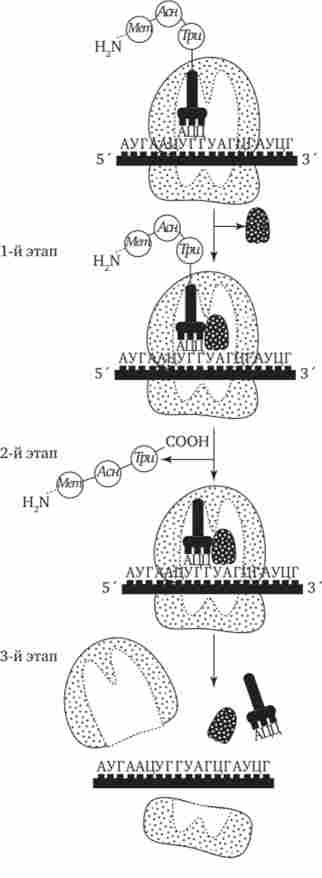 ���������� ������� ���������� �������