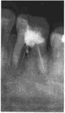 ³�������� �������� �., 57 ����. ������