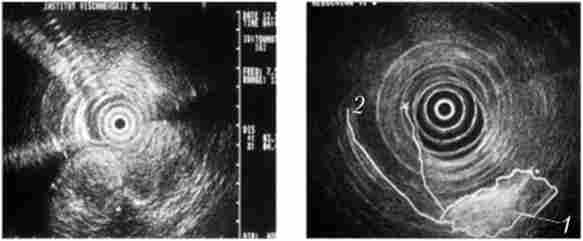 ��������������������