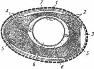 ����� ������ �������� ����