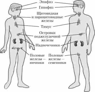 ����� ������������ ����������� ����� � �������� ������