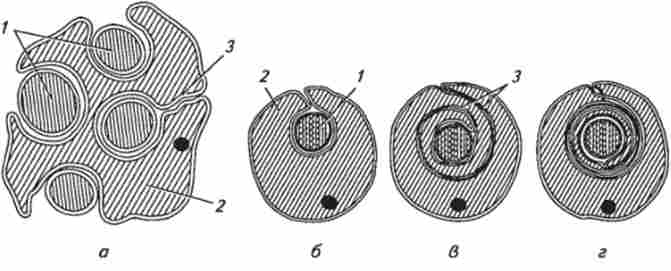 ����� �������� �������� ������� (�� �. �. ������ � ������.)