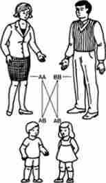 ����������� ���� ����