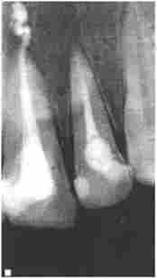 ³��������. ������� �., 27 ����. ������