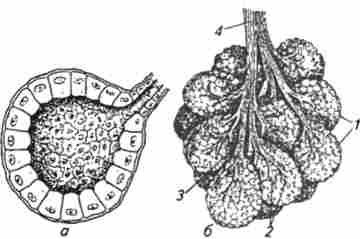 ��������� ������������� ����� ������� ������