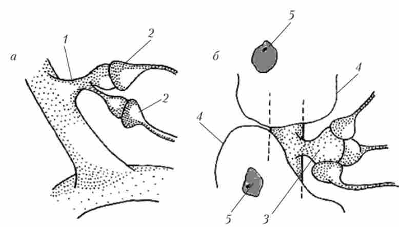 ��������� ������