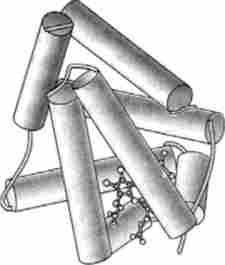 ������ ���������� ������