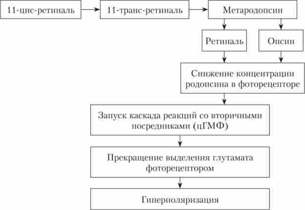 ������ ������� ��� 䳿 ����� �� ������������