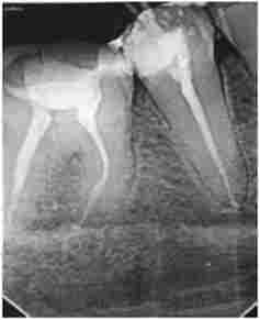 ������� �., 52 � ���������� ������������� ���� ����������� ���� 4.5