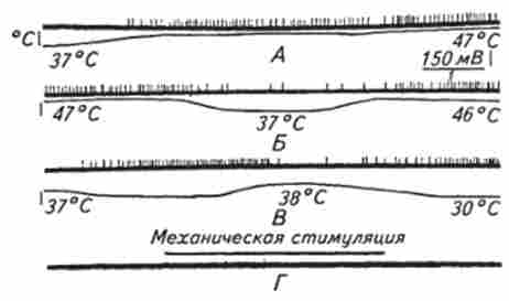 ³����� ��������������� ��������� �� ������������ �������