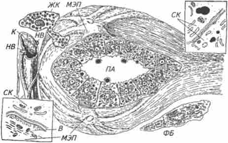 ����� ���������� ������������ � ��������� ������� ������