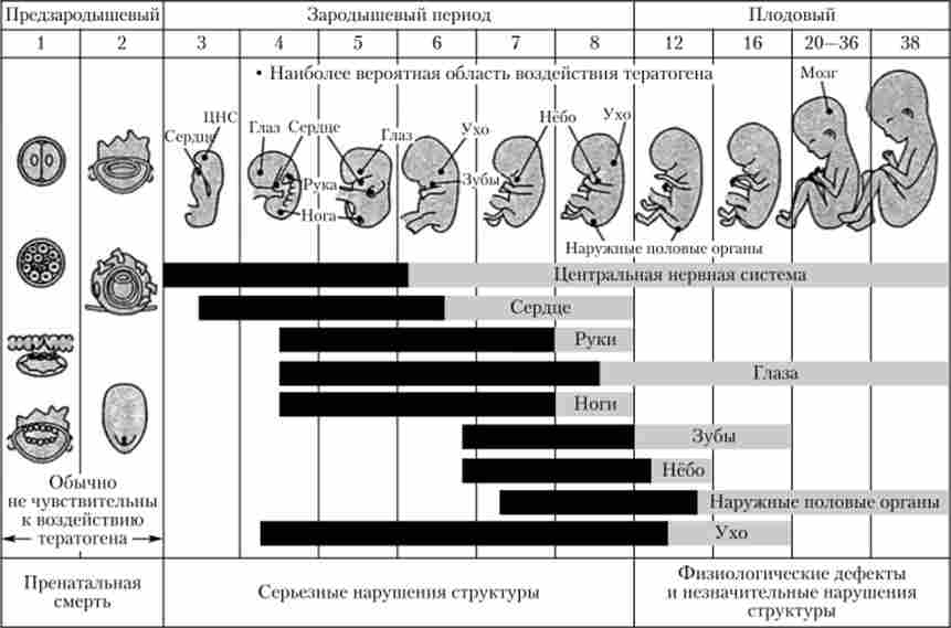 �������� ������ � ������������� �������� (��