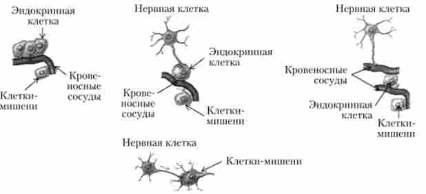 ������� �����䳿 �����