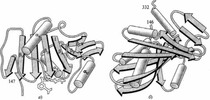 ������ ���� � �'��� ����� (�� �. �. ��������)