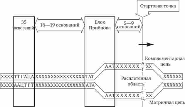 ����� �������� ��� ���-���������, �� ����������� � ������� ������� ��� (��������)